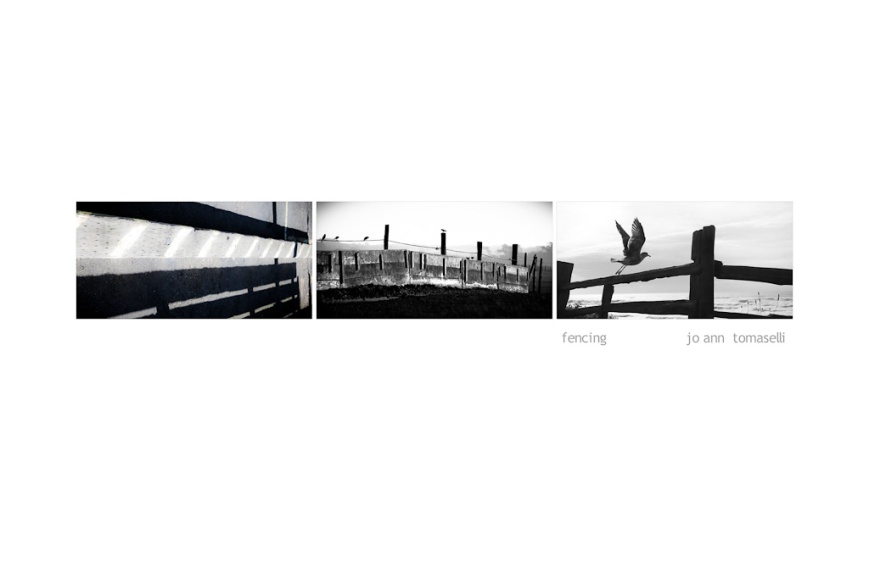 'fencing' Triptych Image Art 3 images combined to make a beautiful black and white image art of birds and fences online for sale best buy